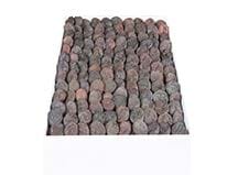 12,5 g Kuru Kayısı