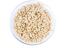 Çam fıstığı içi